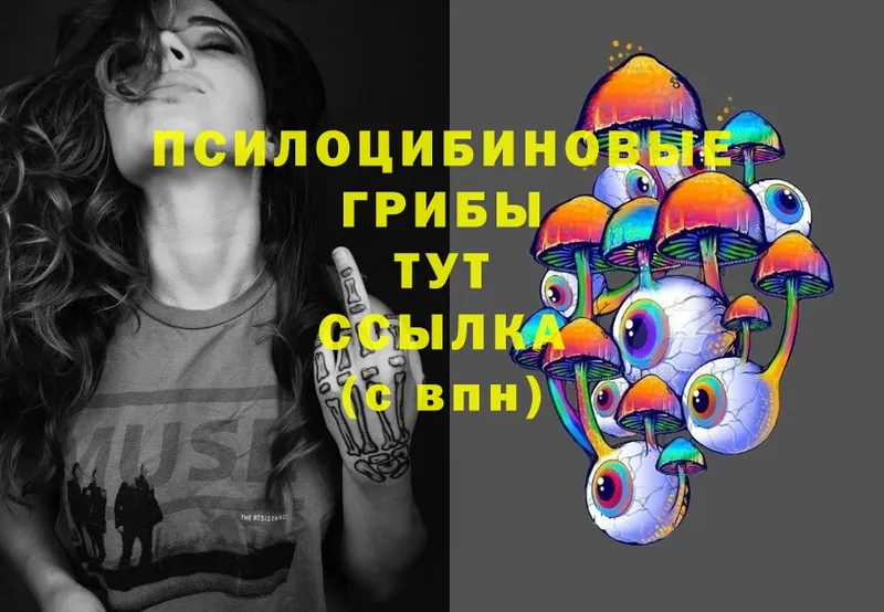 OMG вход  Алдан  Галлюциногенные грибы MAGIC MUSHROOMS  купить  цена 